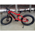 2020 Hot Sale Fat Bike Electric Mountain Bike/ Factory Sale Electric Bicycle